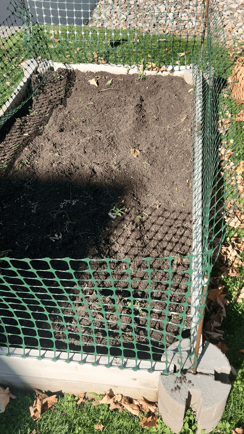 Check For Waterlogged Soil After Heavy Rain