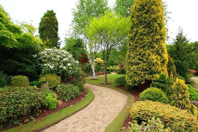 Check HOA Rules Before Scheduling Tree Work