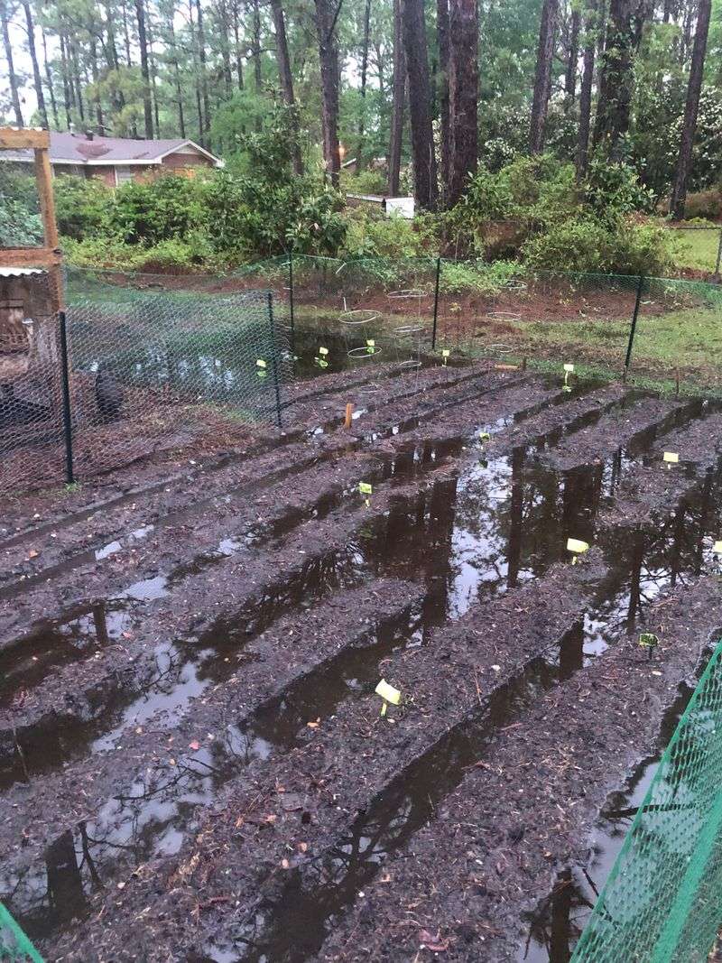 Check Irrigation And Drainage Before The Ground Freezes Check Irrigation And Drainage Before The Ground Freezes