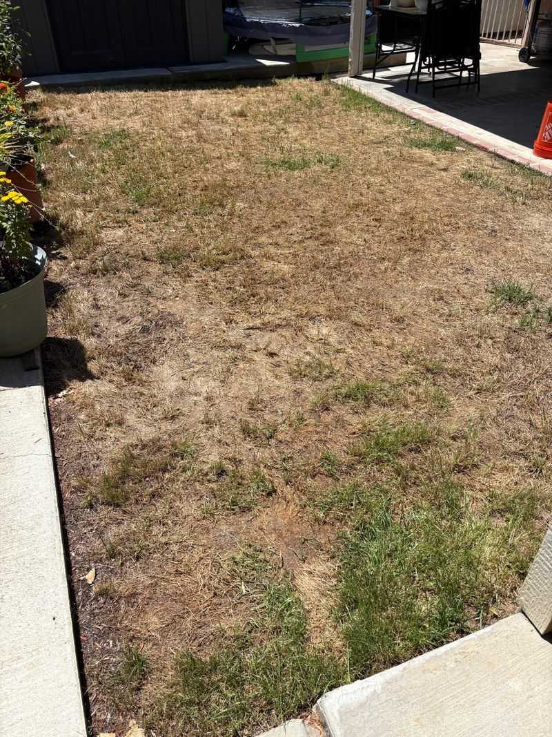 Check Irrigation Before Spreading More Seed Check Irrigation Before Spreading More Seed