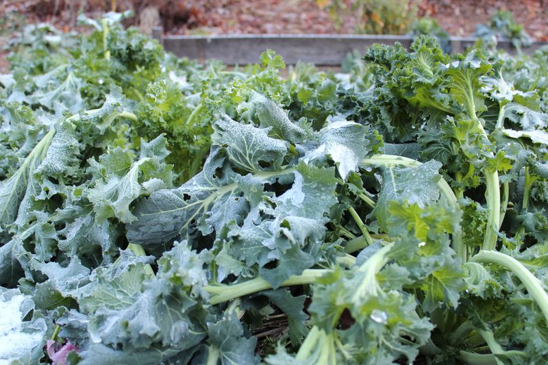 Check Low Spots That Catch Cold Air