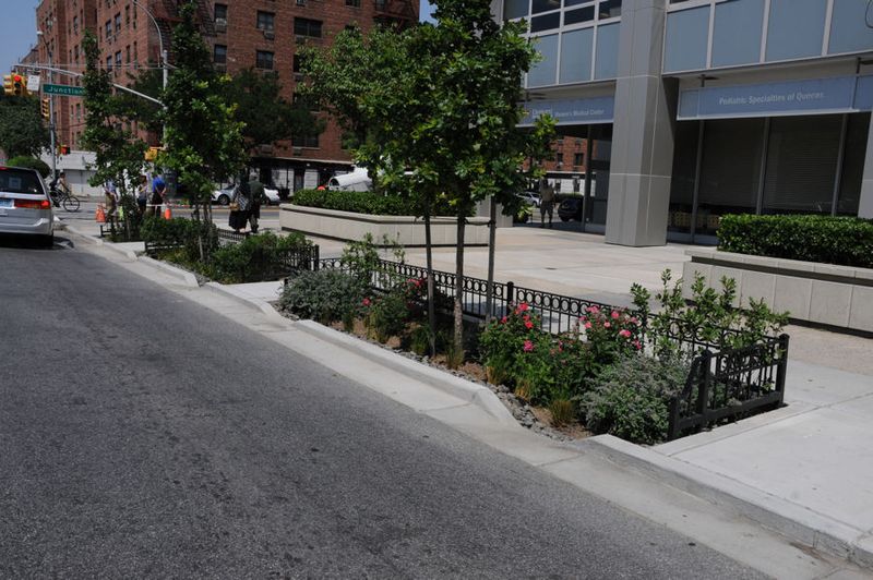 Check Native Plants For Stress Or Decline Check Native Plants For Stress Or Decline