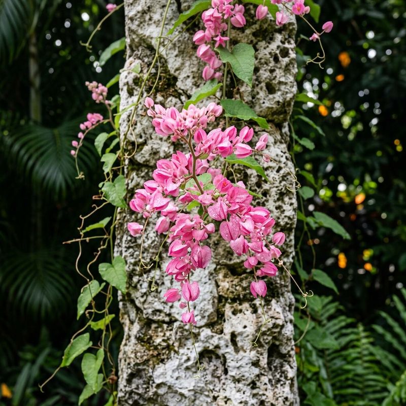 Check Nearby Trees For New Climbing Shoots Check Nearby Trees For New Climbing Shoots