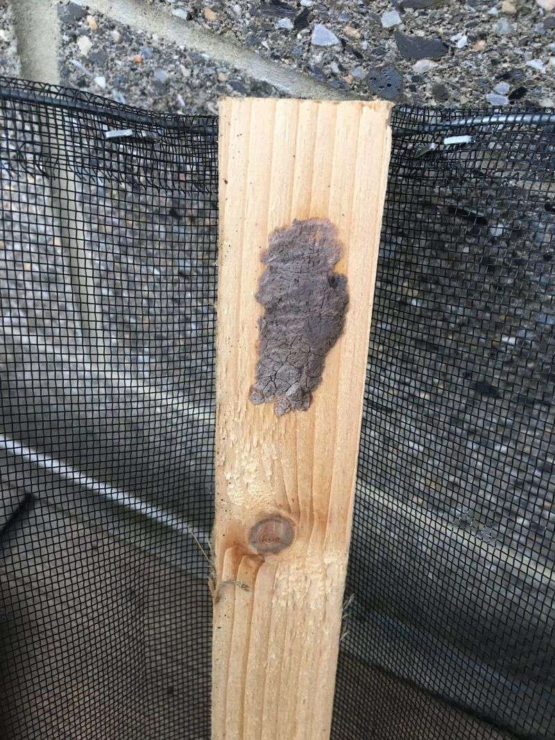Check Outdoor Surfaces Around Your Property