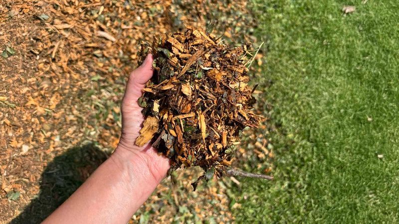 Check Soil Before Adding More Nutrients Check Soil Before Adding More Nutrients