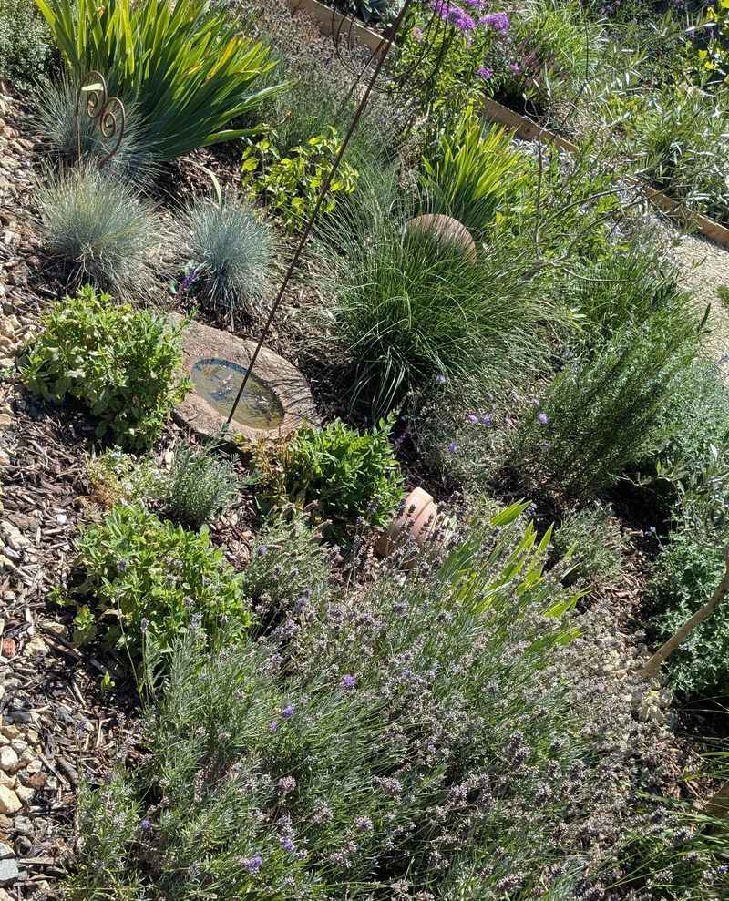 Check Soil Moisture Before Fall Arrives