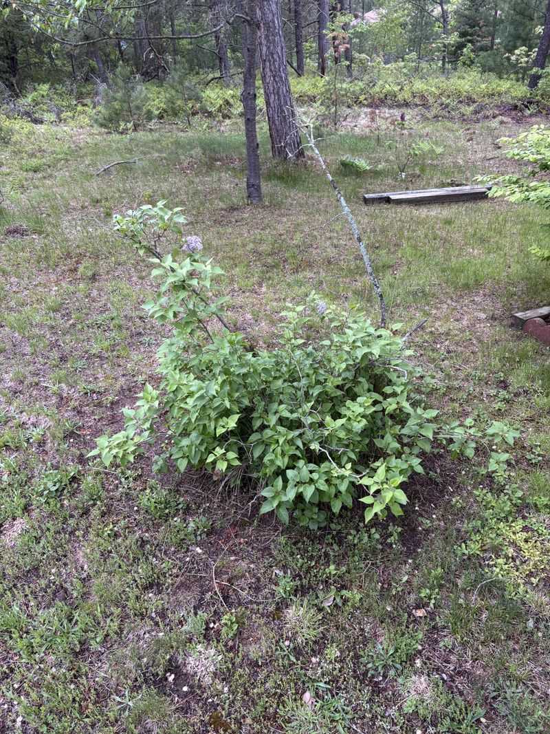 Check Soil Moisture Before The Ground Cools Check Soil Moisture Before The Ground Cools