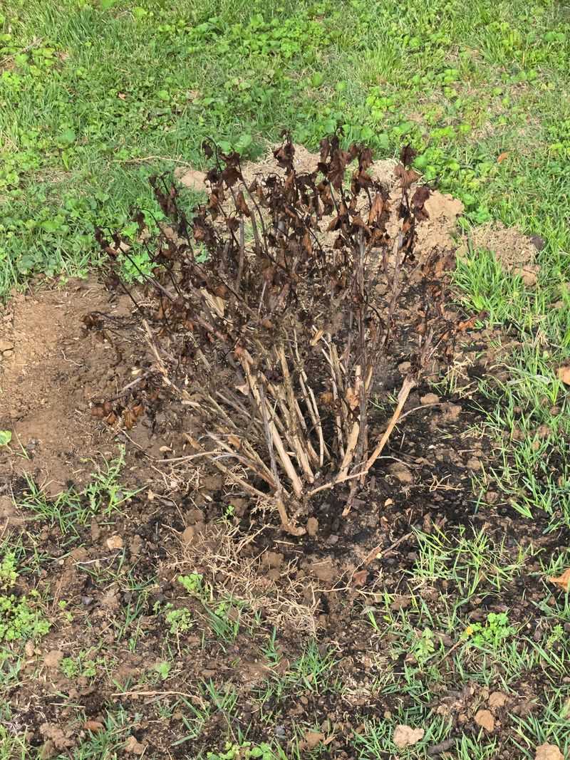 Check Soil Moisture Before Winter Check Soil Moisture Before Winter