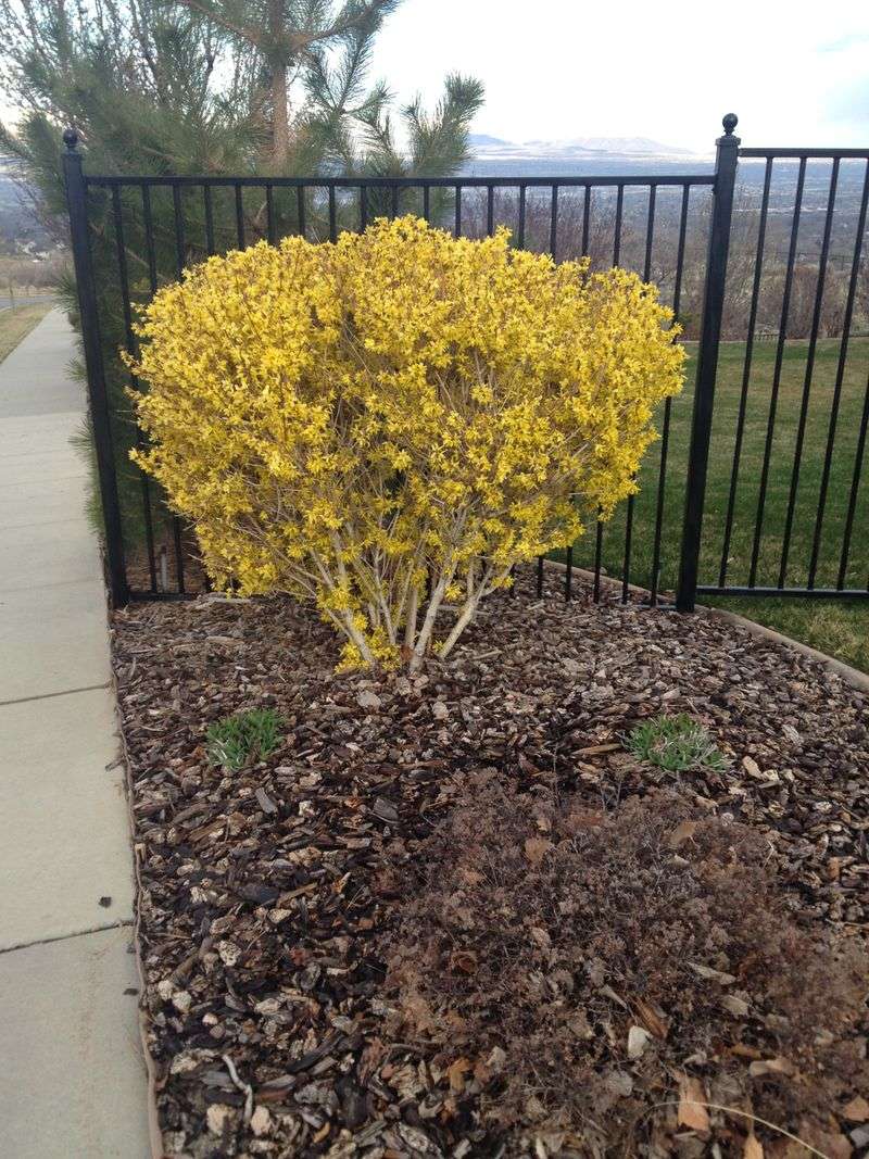 Check Soil Moisture Before Winter Check Soil Moisture Before Winter