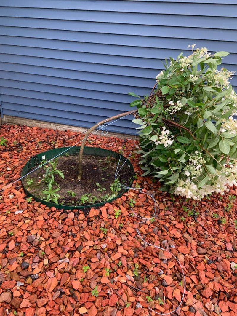 Check Stakes Before Strong Gusts Arrive