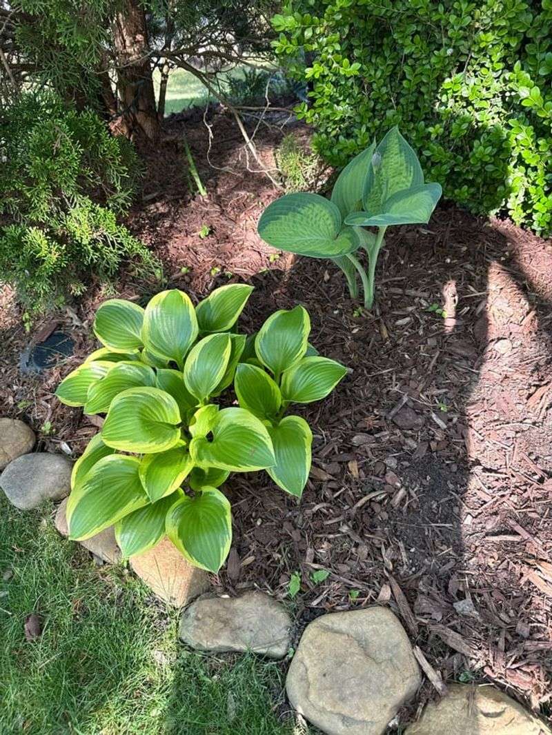 Check The Soil Before Adding Fertilizer