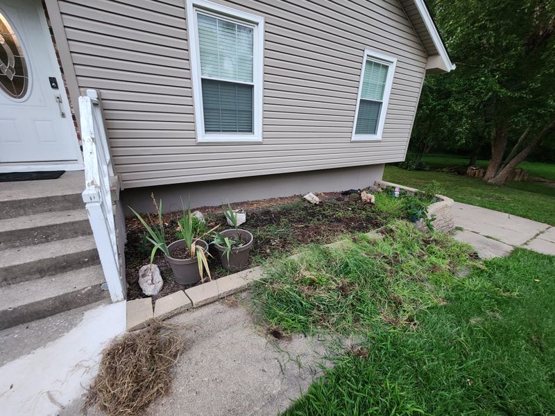 Check Thick Mulch For The Moist Habitat Millipedes Prefer