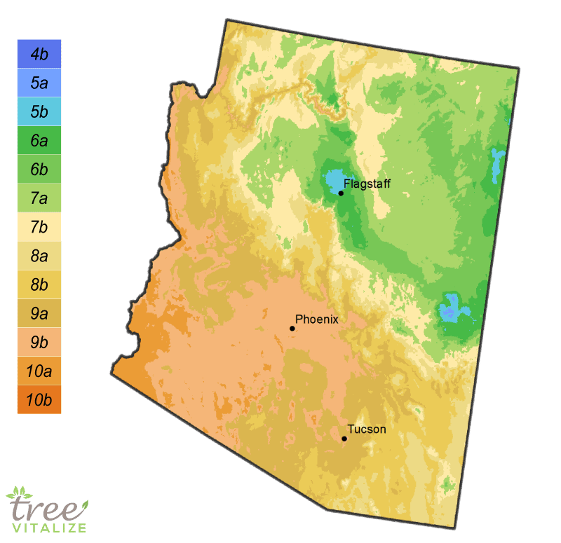 Check Your Arizona Elevation Before You Plant Check Your Arizona Elevation Before You Plant