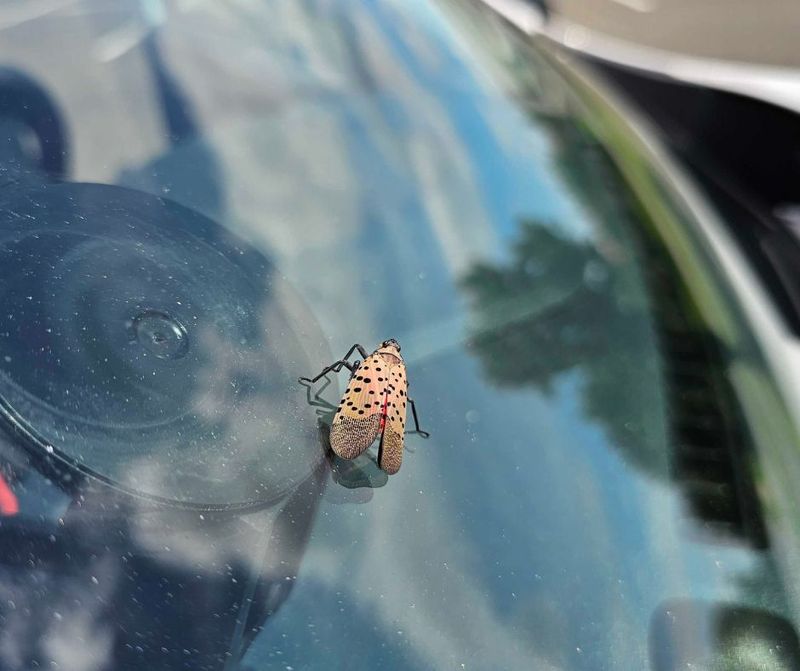 Check Your Car Before Longer Trips Check Your Car Before Longer Trips