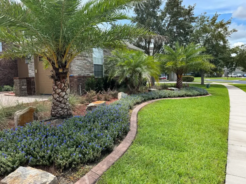 Check Your HOA Rules Before Changing The Yard