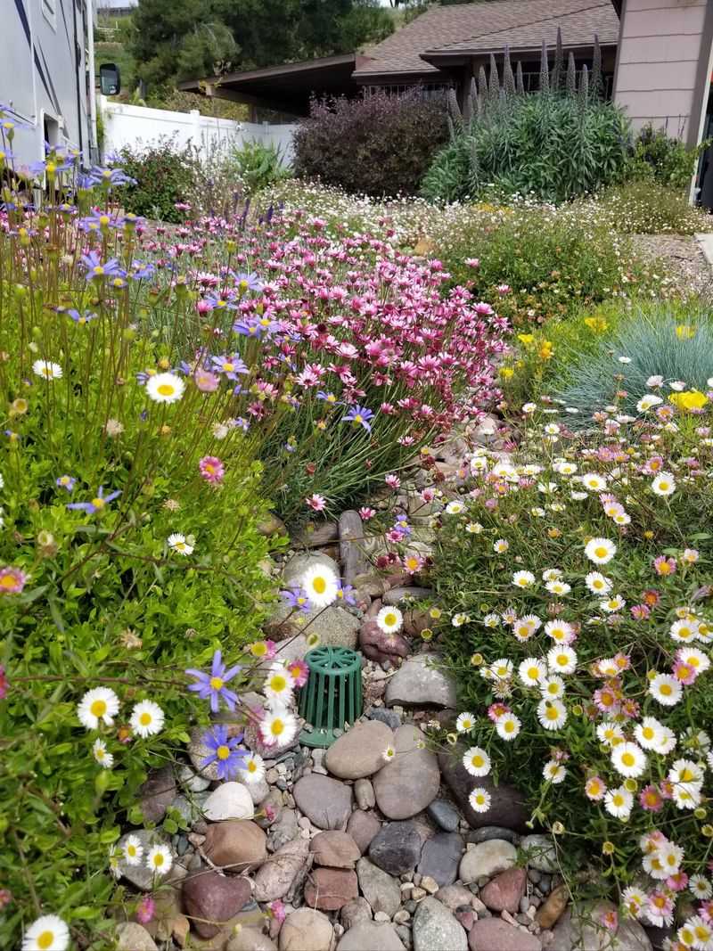 Check Your Plants, Not Just Their Color Check Your Plants, Not Just Their Color