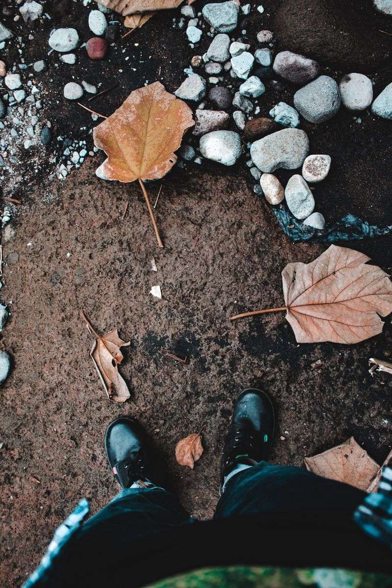 Chewed Banks And Hollow Ground Under Your Feet Chewed Banks And Hollow Ground Under Your Feet