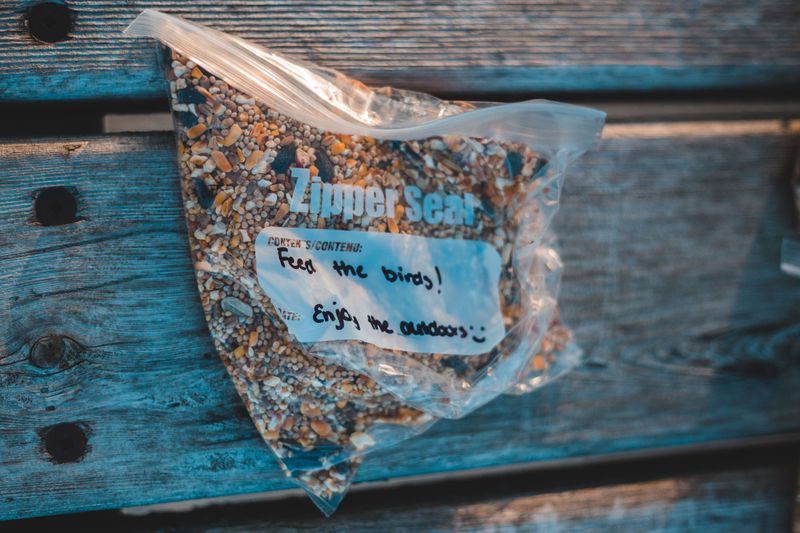 Chewed Holes In Seed Packets And Bags Chewed Holes In Seed Packets And Bags