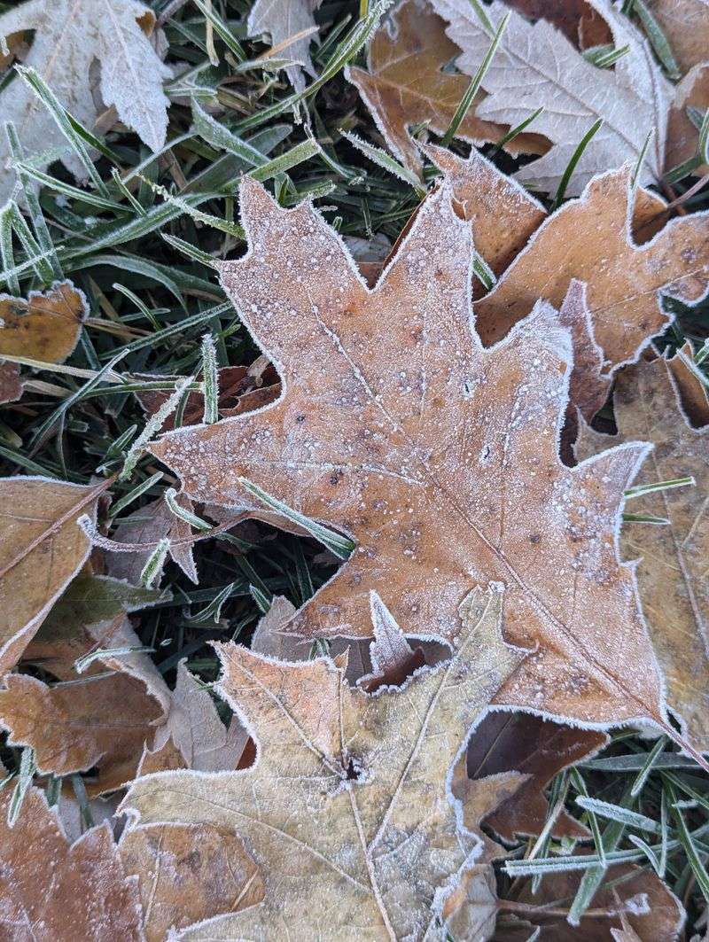 Chilly Air Isn't The Same As Frozen Ground Chilly Air Isn't The Same As Frozen Ground