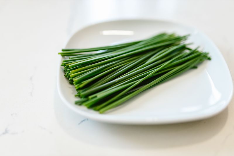 Chives, The Oniony Windowsill Sprinter Chives, The Oniony Windowsill Sprinter