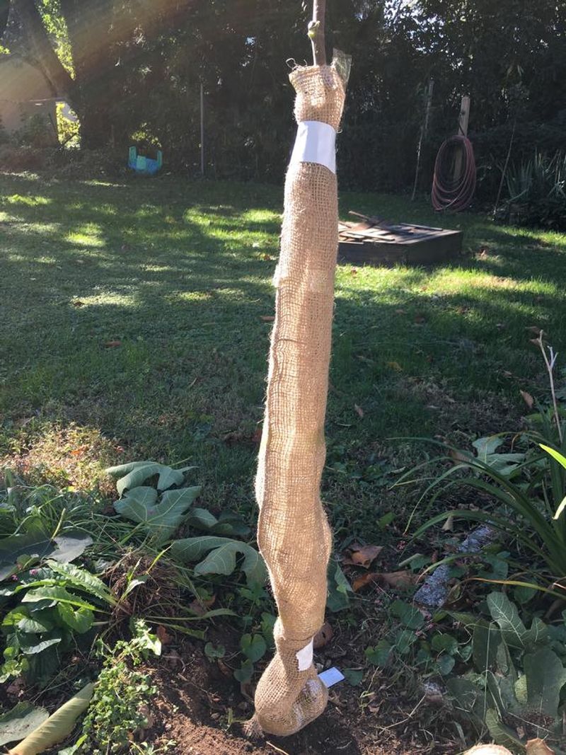 Choose Burlap Over Plastic Against The Stems Choose Burlap Over Plastic Against The Stems