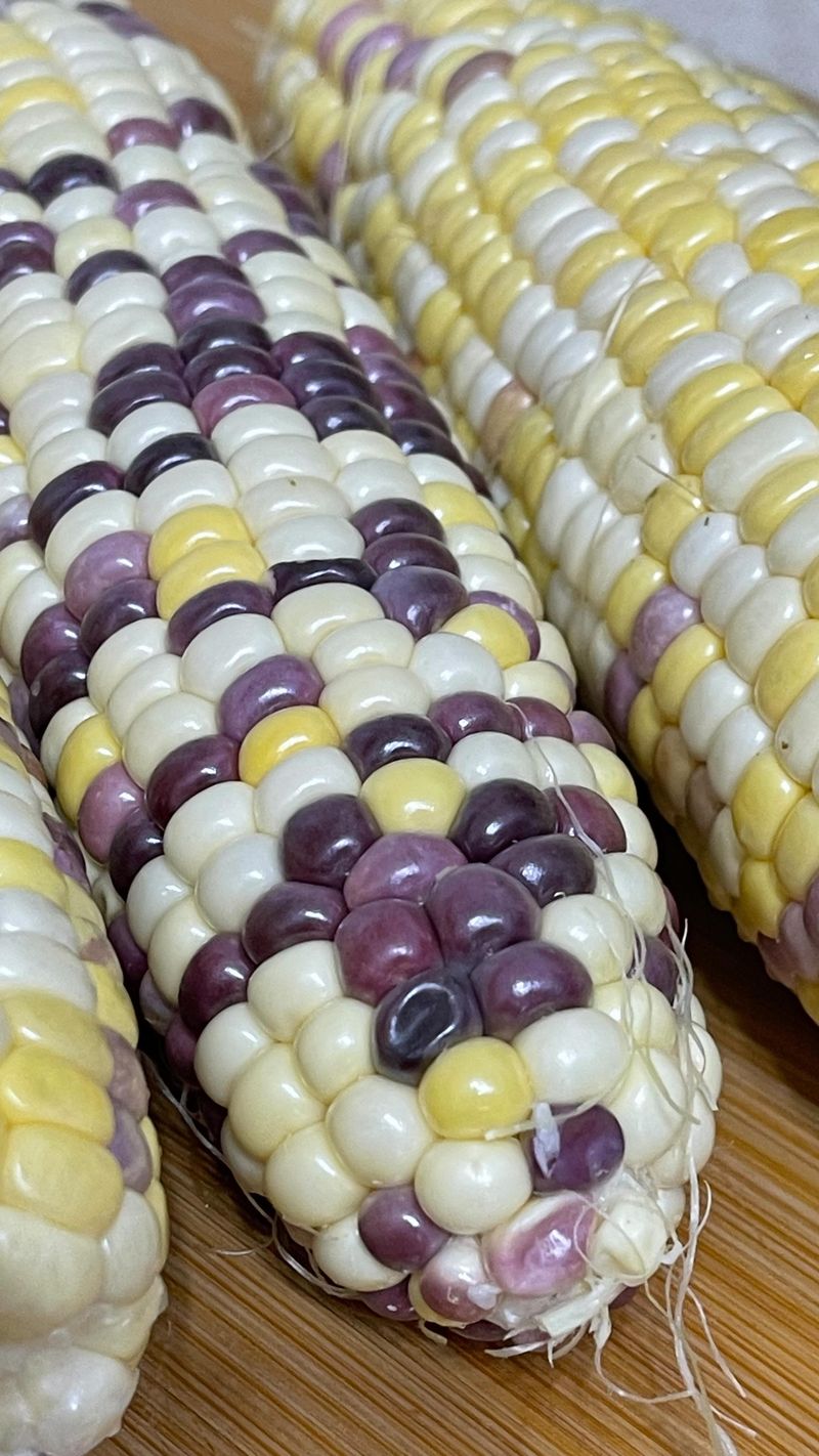 Choose Healthier Corn Varieties