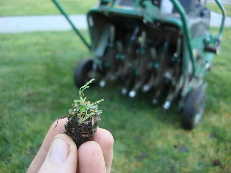 Choose Hollow Tines Over Lawn Spikes Choose Hollow Tines Over Lawn Spikes