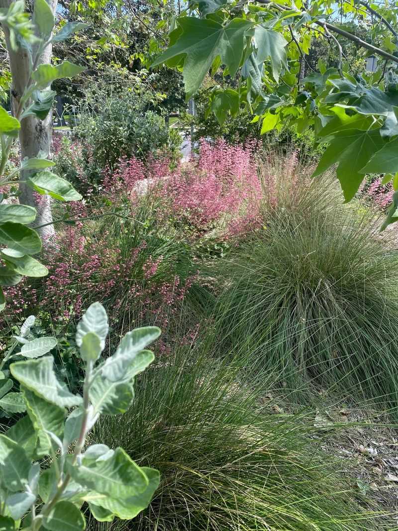 Choose Plants That Shrug Off Wet Feet Choose Plants That Shrug Off Wet Feet