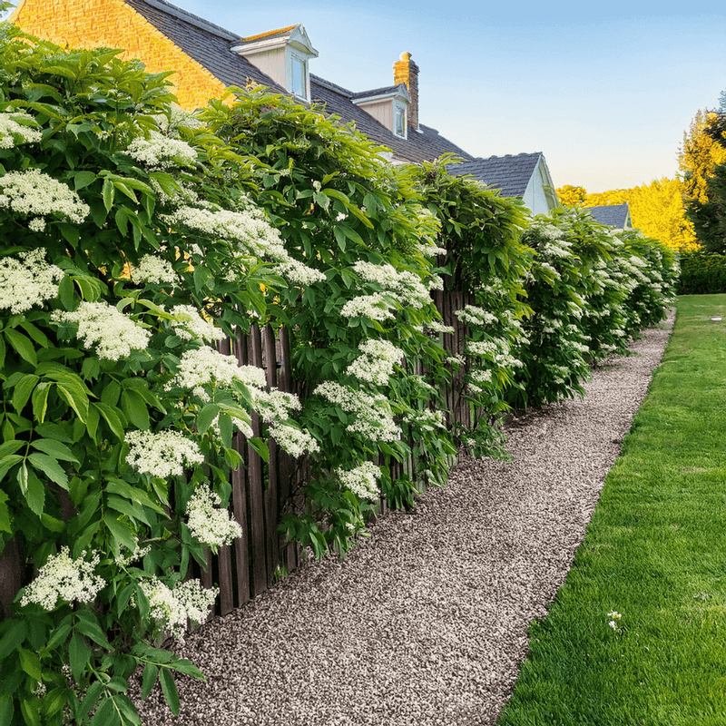 Choose The Fence Line Carefully Choose The Fence Line Carefully