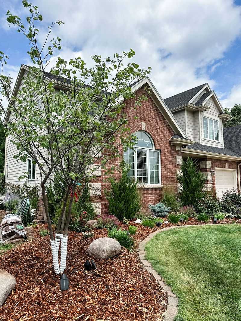 Choose The Planting Spot Before You Start Digging