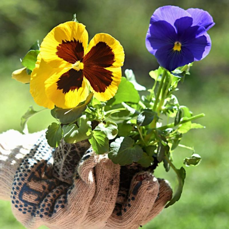 Choose Winter Sun That Does Not Turn Into Spring Scorch Choose Winter Sun That Does Not Turn Into Spring Scorch