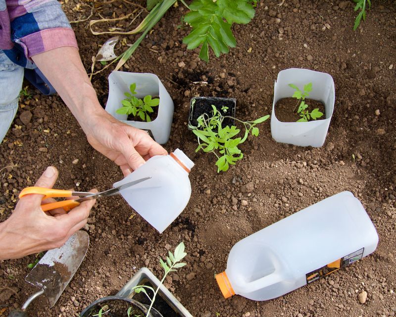Choose a clean, roomy jug and remove its bottom Choose a clean, roomy jug and remove its bottom