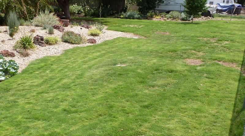 Choose for the yard you actually have Choose for the yard you actually have
