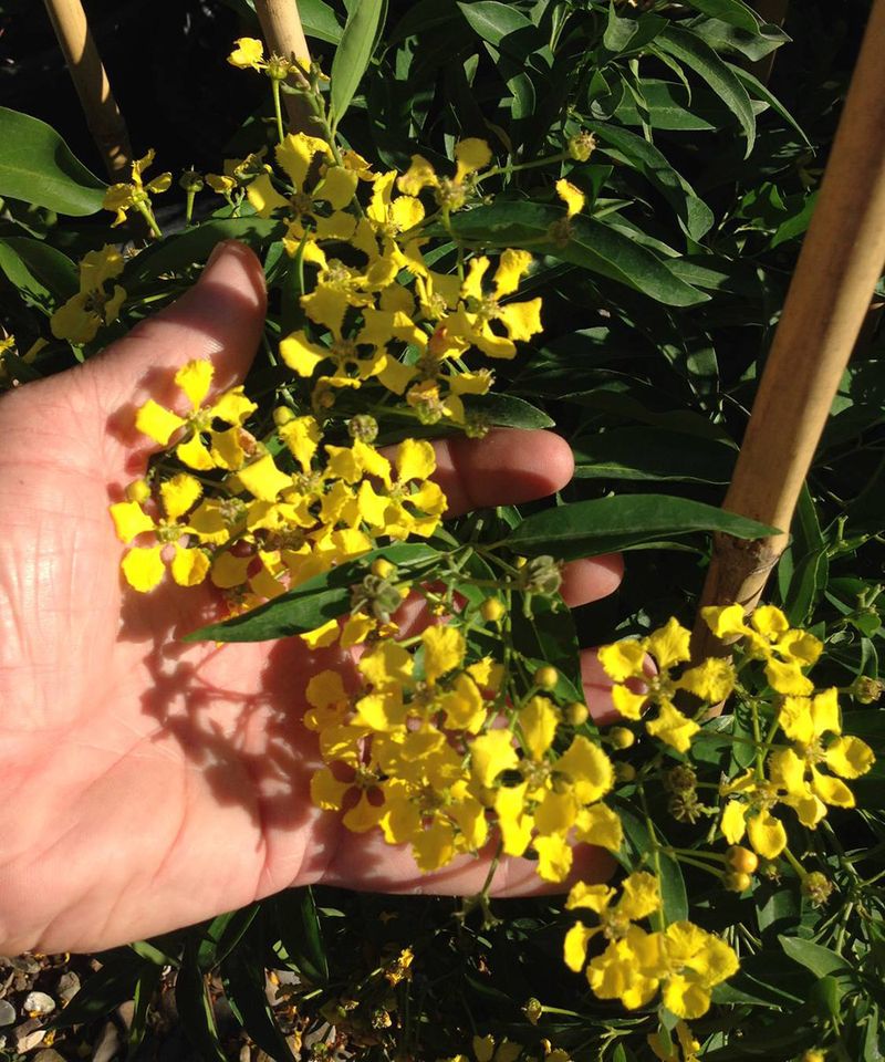 Choose it for durable habitat, not guaranteed pest control