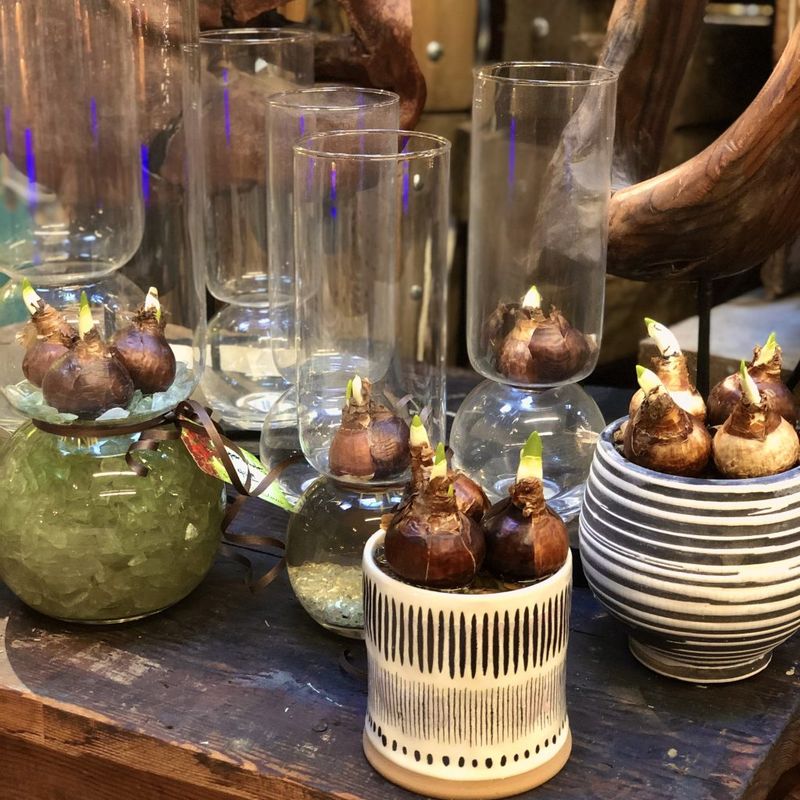 Choose sound bulbs and a suitable container Choose sound bulbs and a suitable container