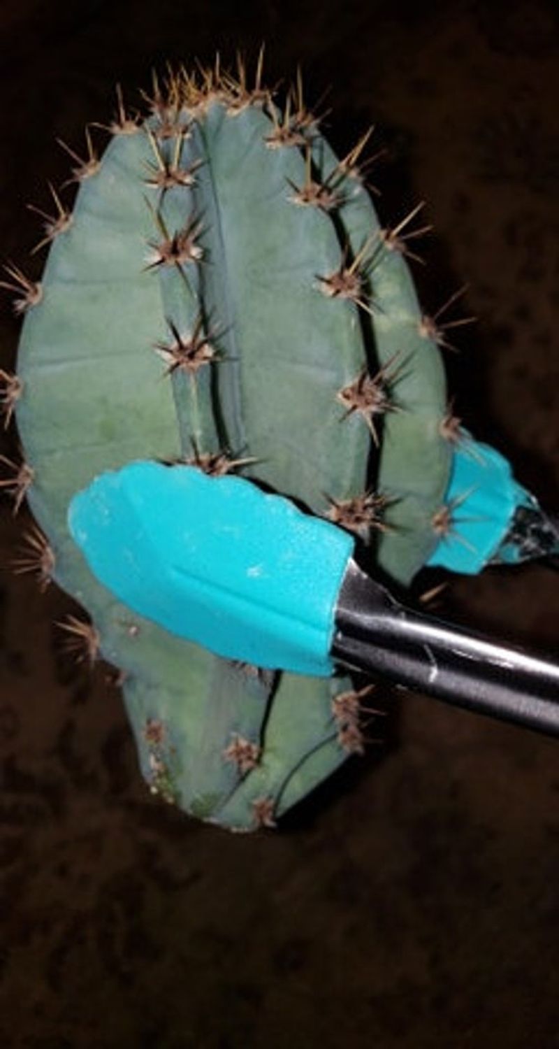 Choose tools over bare hands Choose tools over bare hands