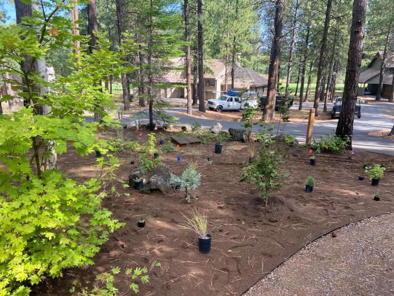 Choosing A Spot With Different Growing Conditions