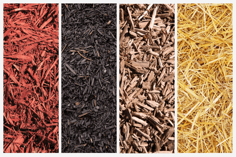 Choosing The Wrong Mulch Choosing The Wrong Mulch