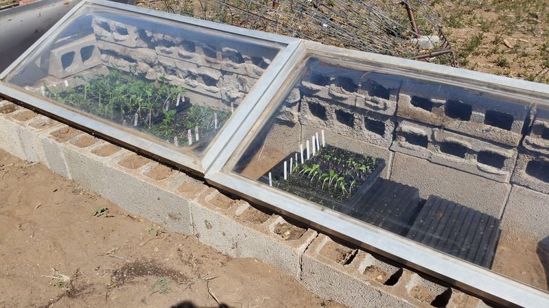 Cinder Block Frames That Soak Up Daytime Heat