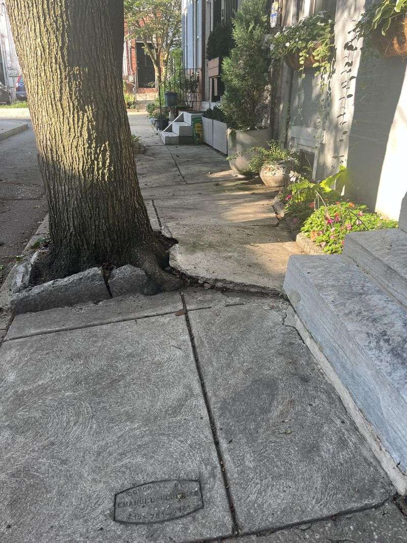Cities Usually Have Their Own Tree Rules