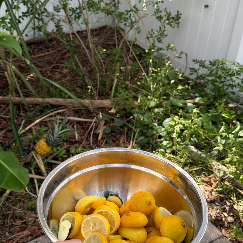 Citrus Odors May Provide Temporary Deterrence