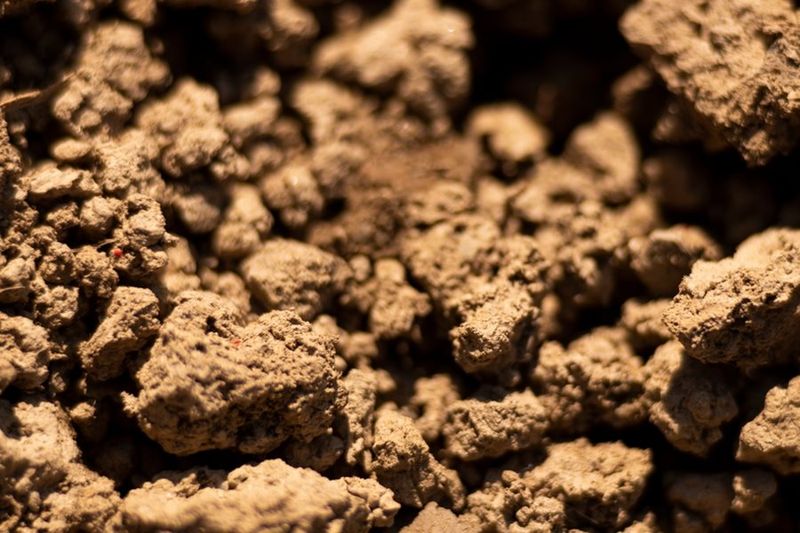 Clay Soil Compounds The Problem