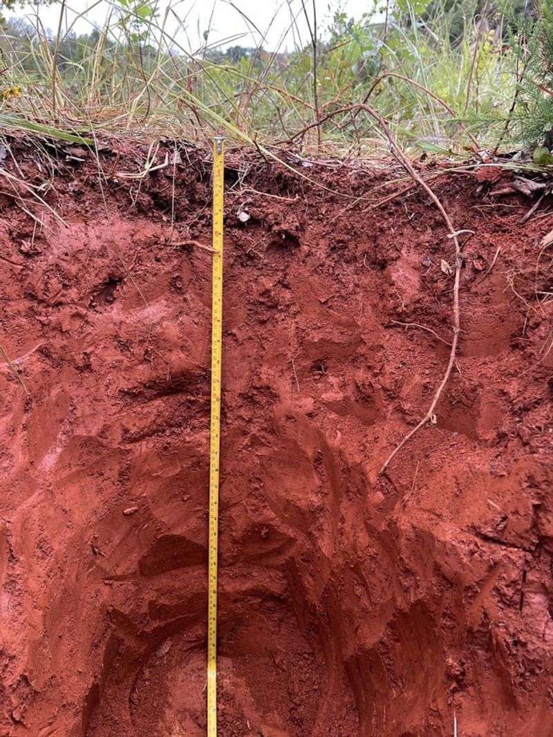 Clayey Piedmont Soil Holds More Fall Moisture Clayey Piedmont Soil Holds More Fall Moisture