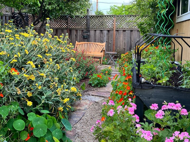 Clean Beds Recover Faster After Storms Clean Beds Recover Faster After Storms