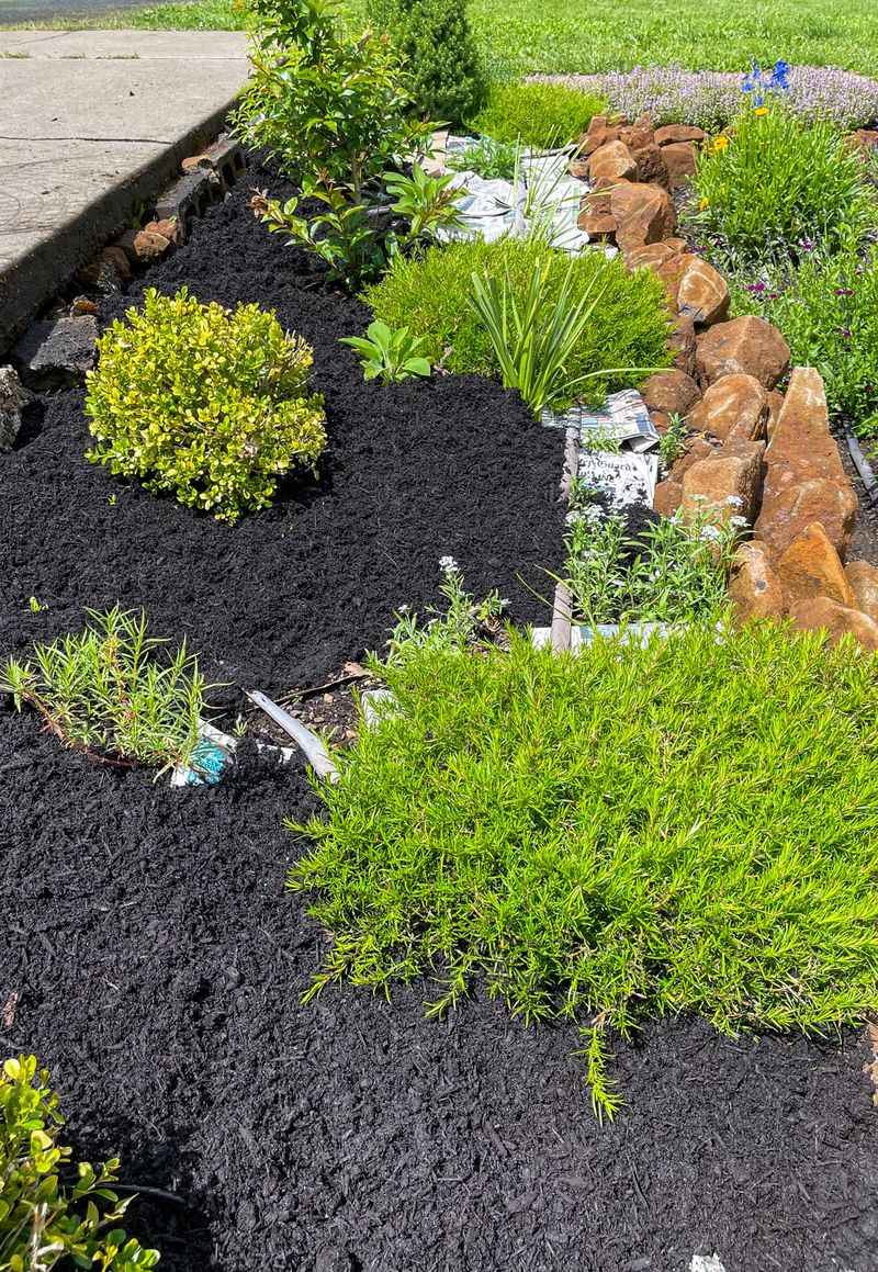 Clean Edges Make Weed Control Easier Clean Edges Make Weed Control Easier