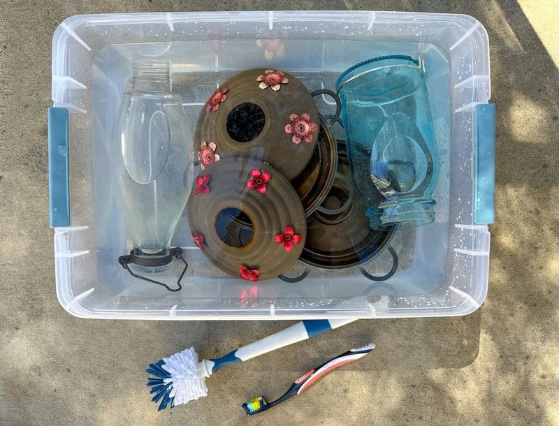 Clean Feeders Regularly