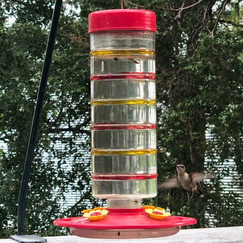 Clean Feeders To Prevent Pest Problems