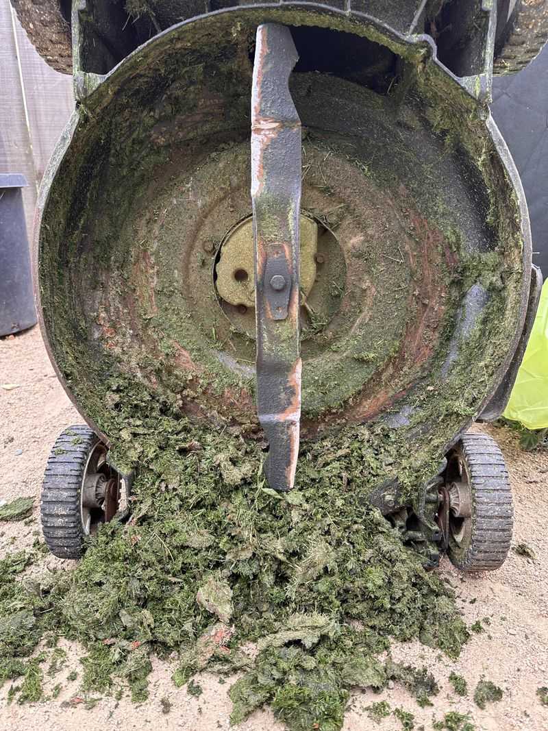 Clean Mowers After Cutting Seed-Heavy Weeds Clean Mowers After Cutting Seed-Heavy Weeds