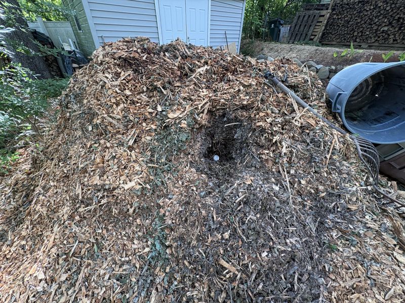 Clean The Area After Moving Firewood