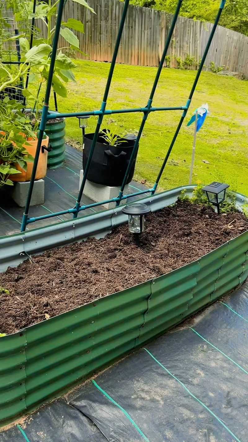 Clean The Bed Before Planting Again